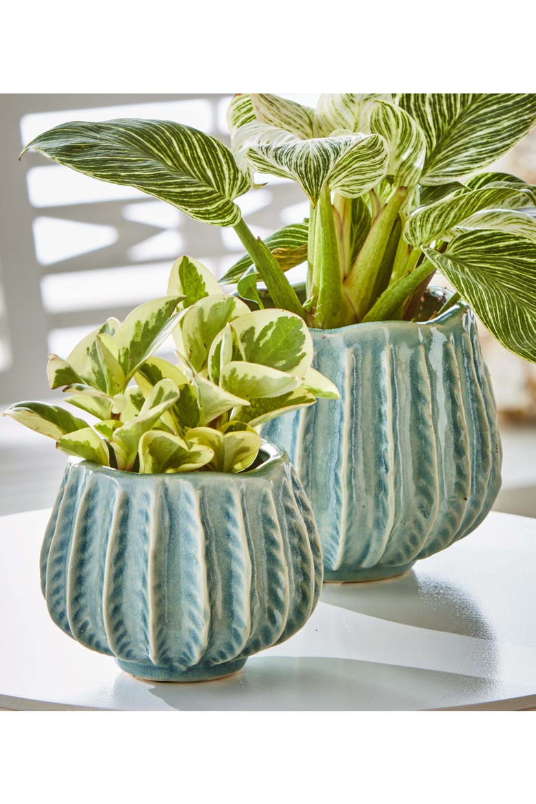 Cala Large Light Blue Ceramic Planter for Summer Decor, Alternate, color, Blue