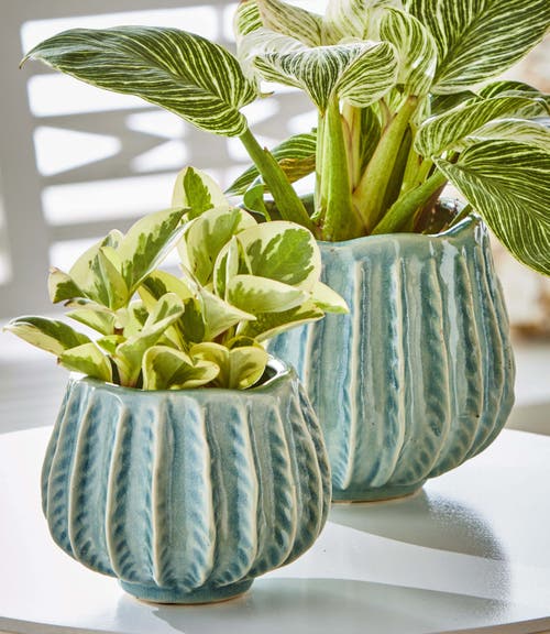 Tag Cala Large Light Blue Ceramic Planter For Summer Decor In Blue