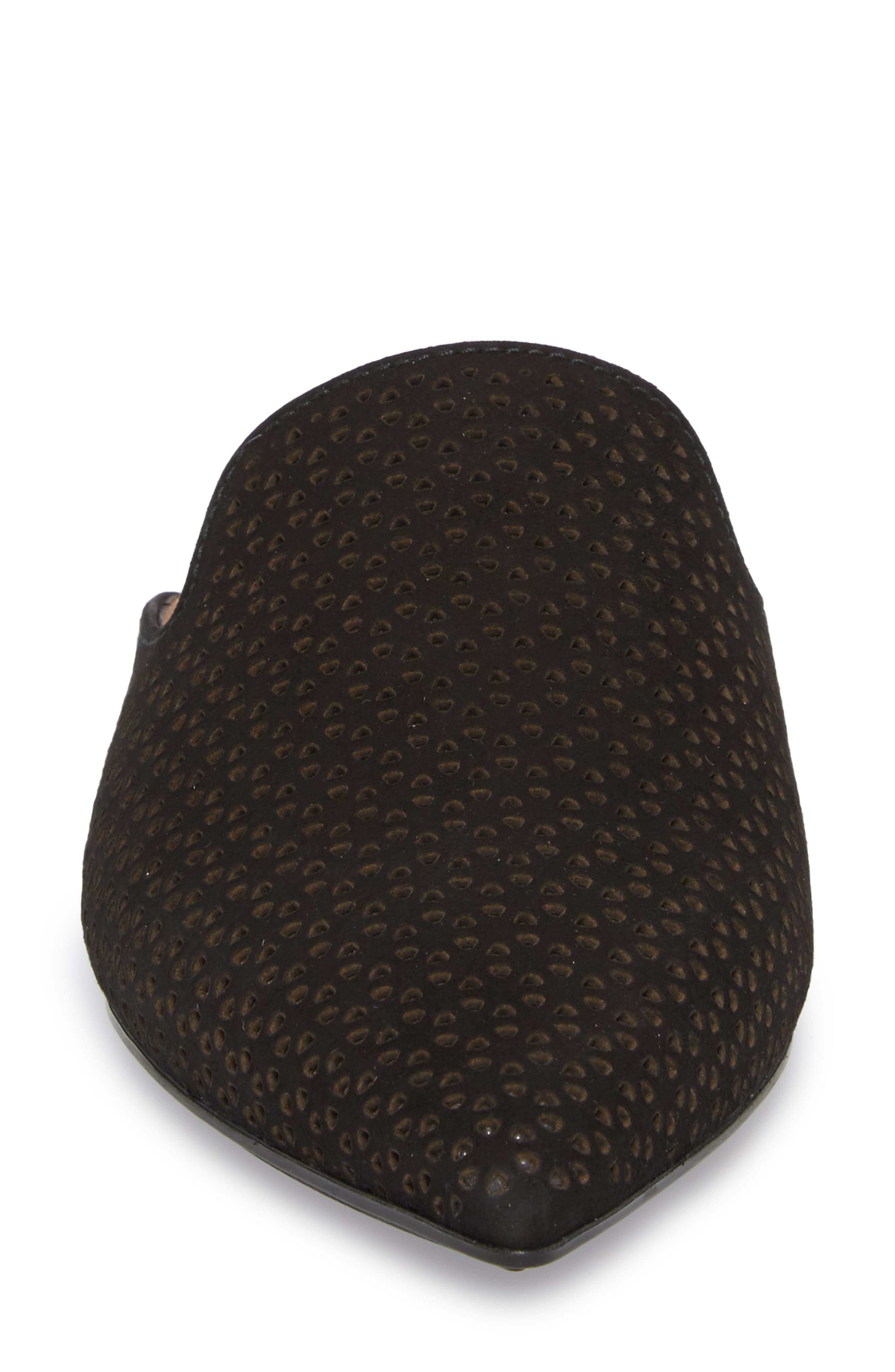 Hispanitas Yakira Mule, Alternate, color, 