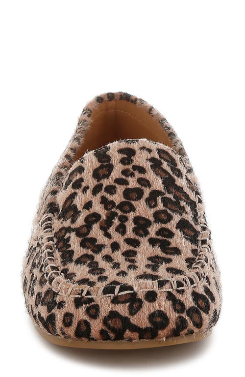 Rag & Co Women's Brown Paboa Leopard Print Flat Loafers In Leopard In Leopard