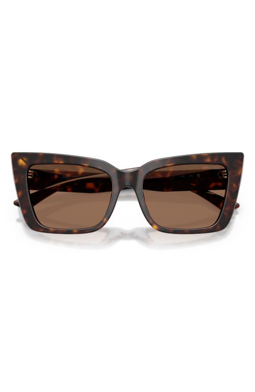 Jimmy Choo 54mm Butterfly Sunglasses In Havana/dark Brown