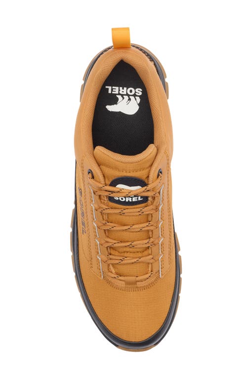 Sorel Outing Nw™ Low Waterproof Sneaker In Brown