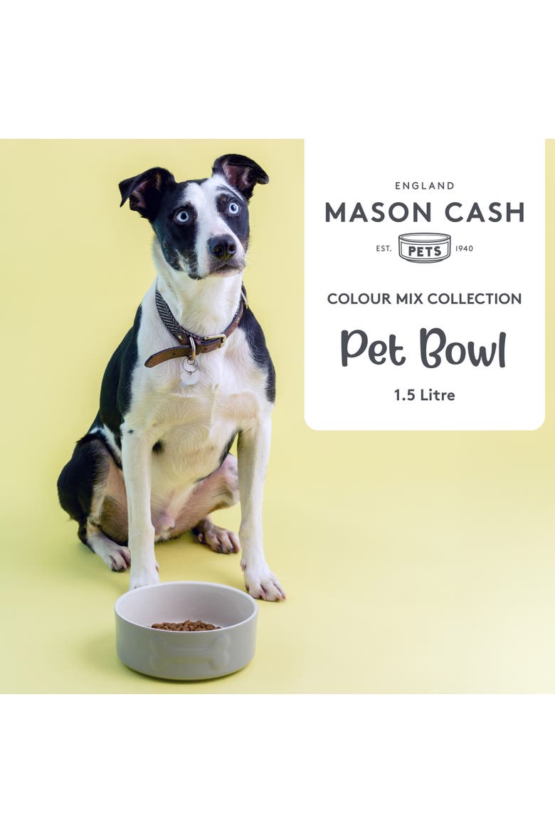 Embossed Bone Dog Bowl, 8 Inch,  50.7oz, Food and Water Dish, Alternate, color, Gray