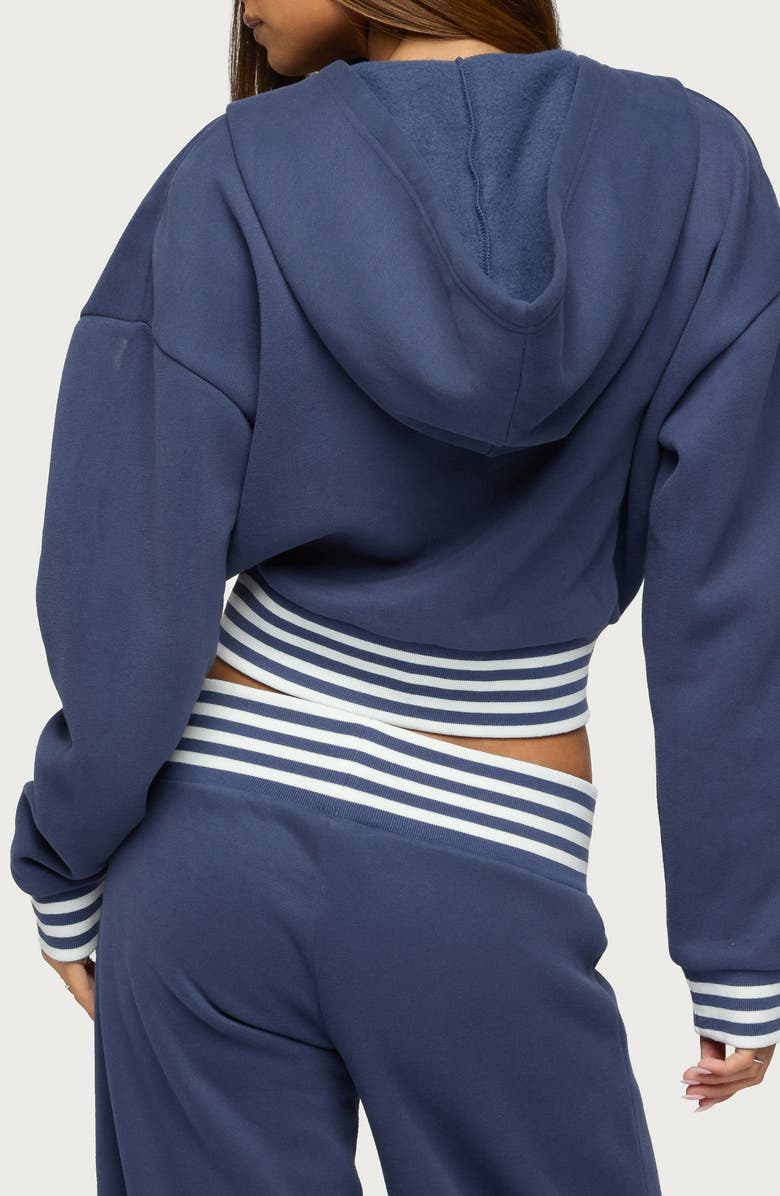 EDIKTED Eloura Stripe Detail Zip-Up Hoodie, Alternate, color, 