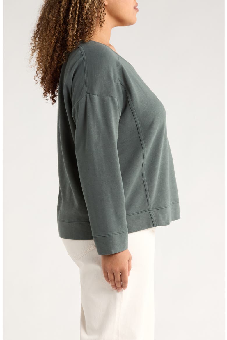 Ballet Neck Boxy Organic Cotton Terry Top, Alternate, color, EVERGLADE
