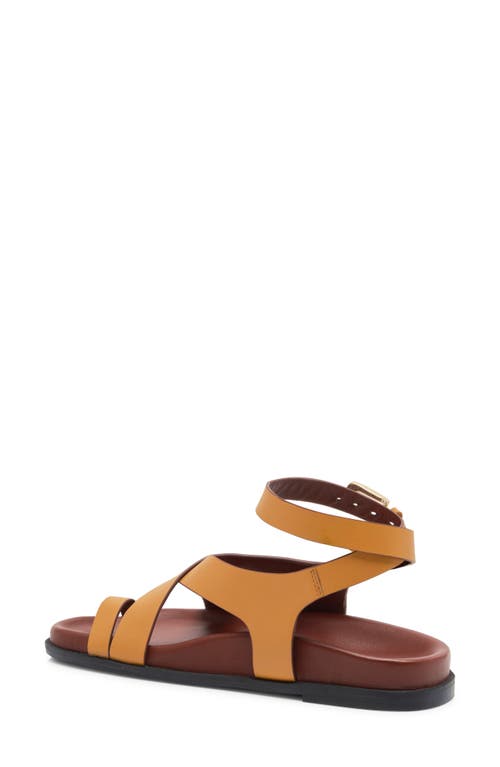 Free People Anya Ankle Strap Toe Loop Sandal