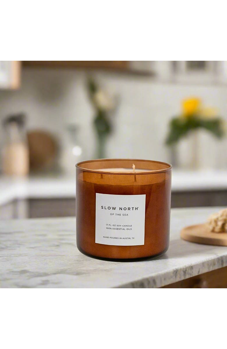 SLOW NORTH Of The Sea (Eucalyptus + Lavender + Peppermint) - Signature 3-Wick Candle, Alternate, color, Brown