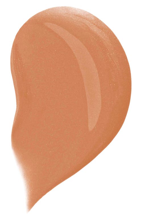 Dolce & Gabbana Dolce&gabbana The Blueberry Nutri-tint Skin Tint