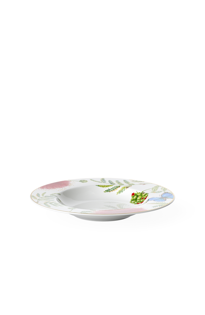 Villeroy & Boch Amazonia Anmut Rim Soup, Alternate, color,