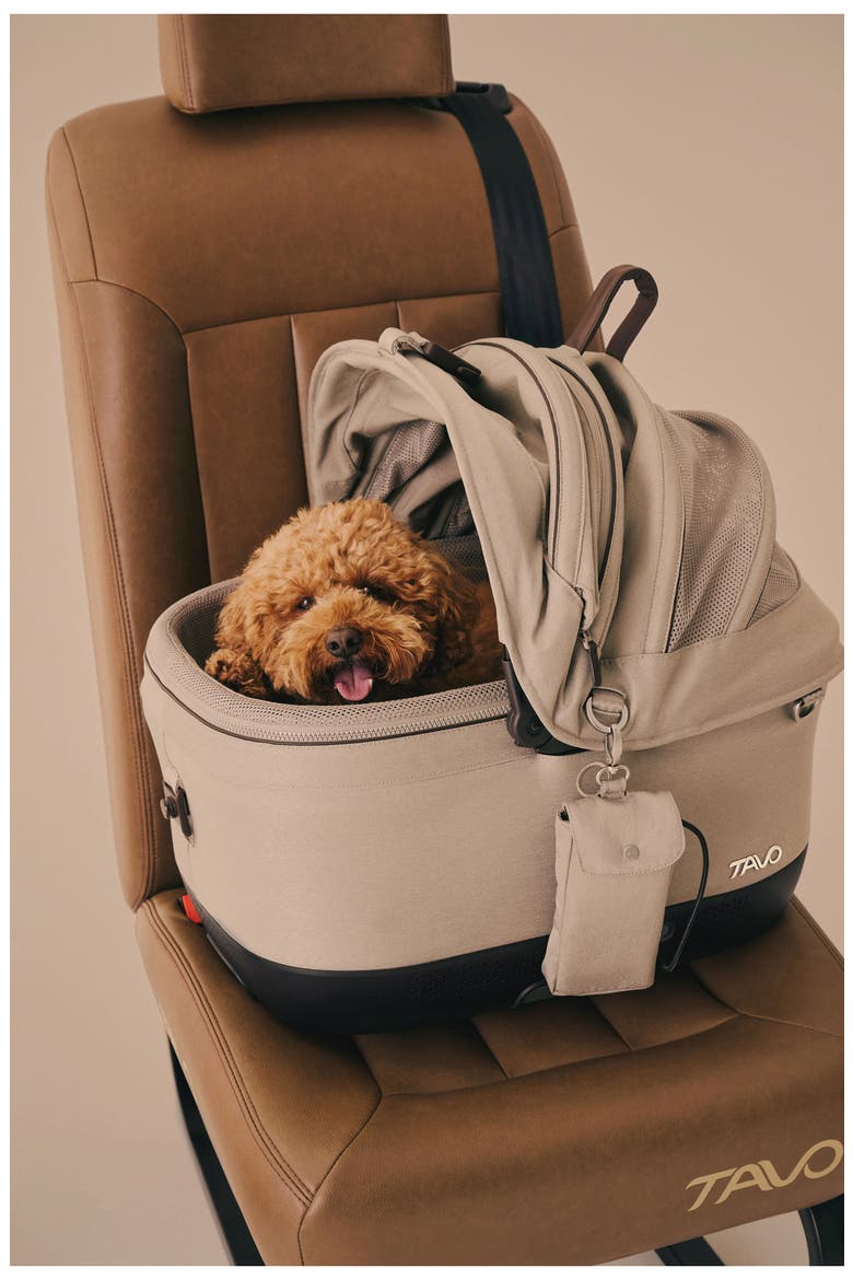 Maeve™ iso5X Wind Pet Car Seat, Alternate, color, ONYX
