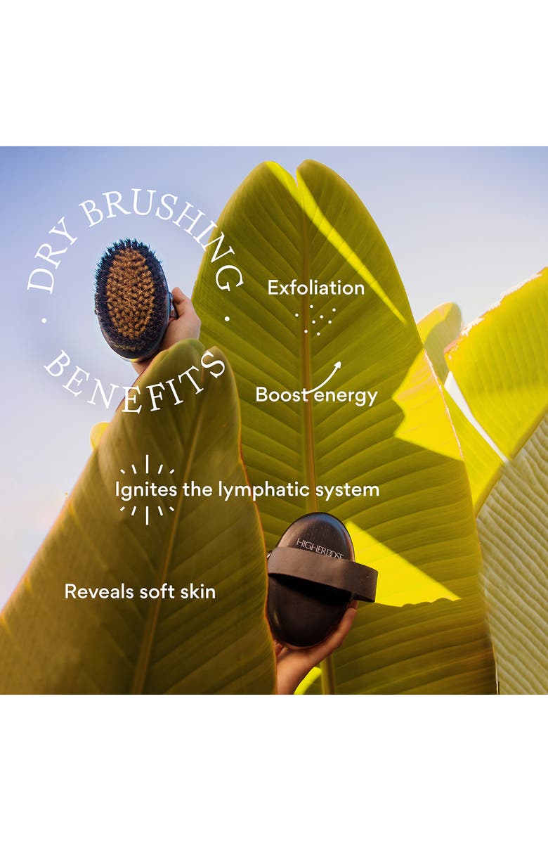 HigherDOSE Supercharge Copper Body Brush, Alternate, color, 