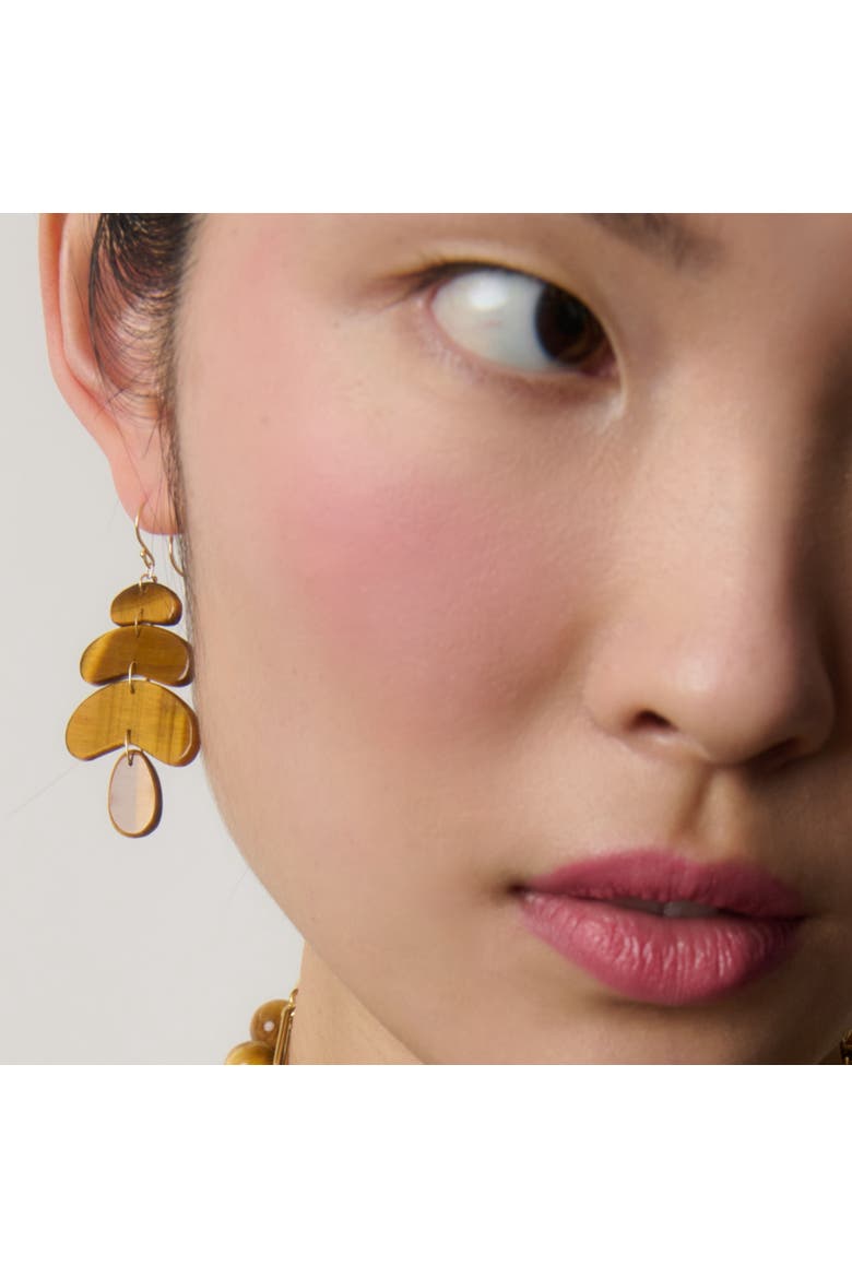 Small Tiger's Eye Flat Earrings, Alternate, color, Tiger's Eye