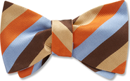 Beau Ties of Vermont Autumn Brook Bow Tie