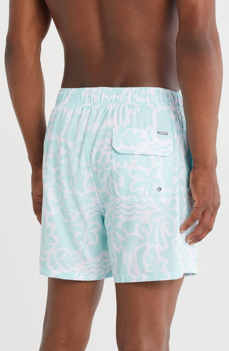 Vintage Summer 4-Way Stretch Volley Swim Trunks, Alternate, color, Mint