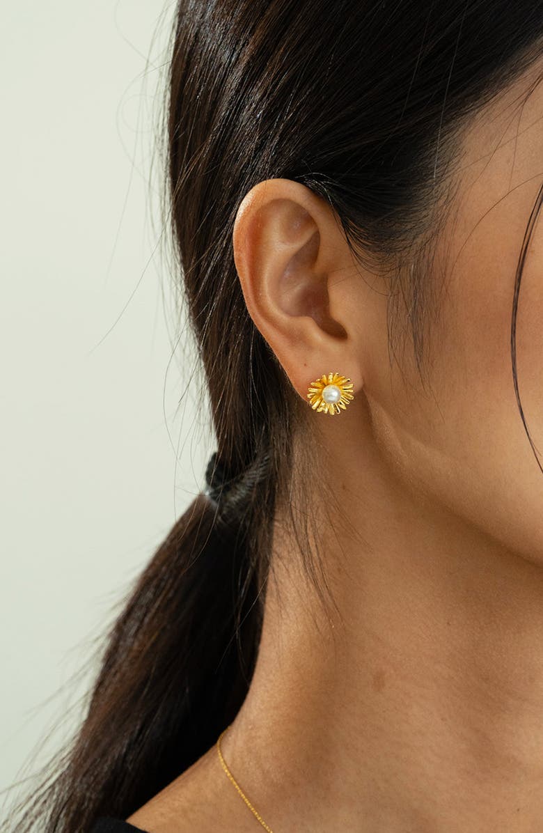 Bearfruit Jewelry Sterling Silver 18k Gold Plated Flora Culture Pearl Necklace & Stud Earrings Set, Alternate, color, Gold