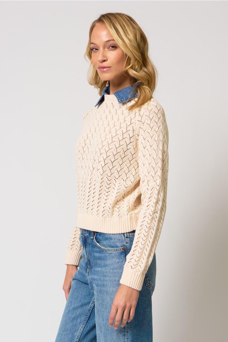 Hazel Denim Collared Pointelle Sweater, Alternate, color, Ivory