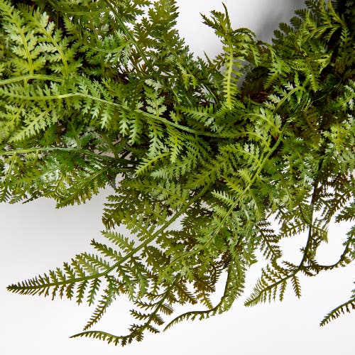 Napa Home & Garden 18in Fern Wreath In Green