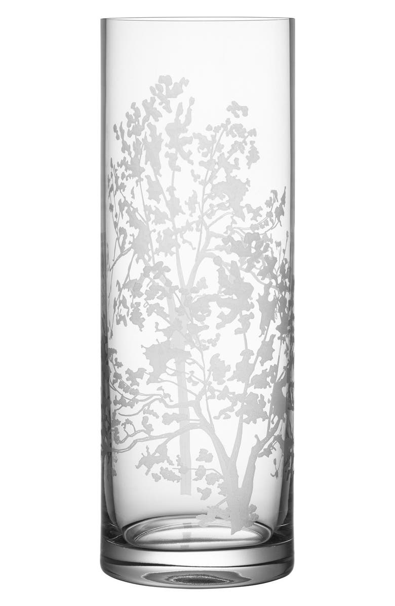 Orrefors Organic Cylinder Vase, Main, color, 