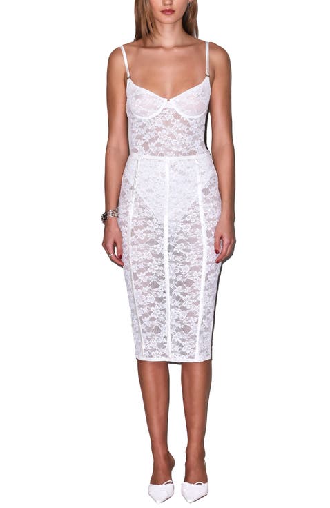 Le Stretch Lace Pencil Skirt