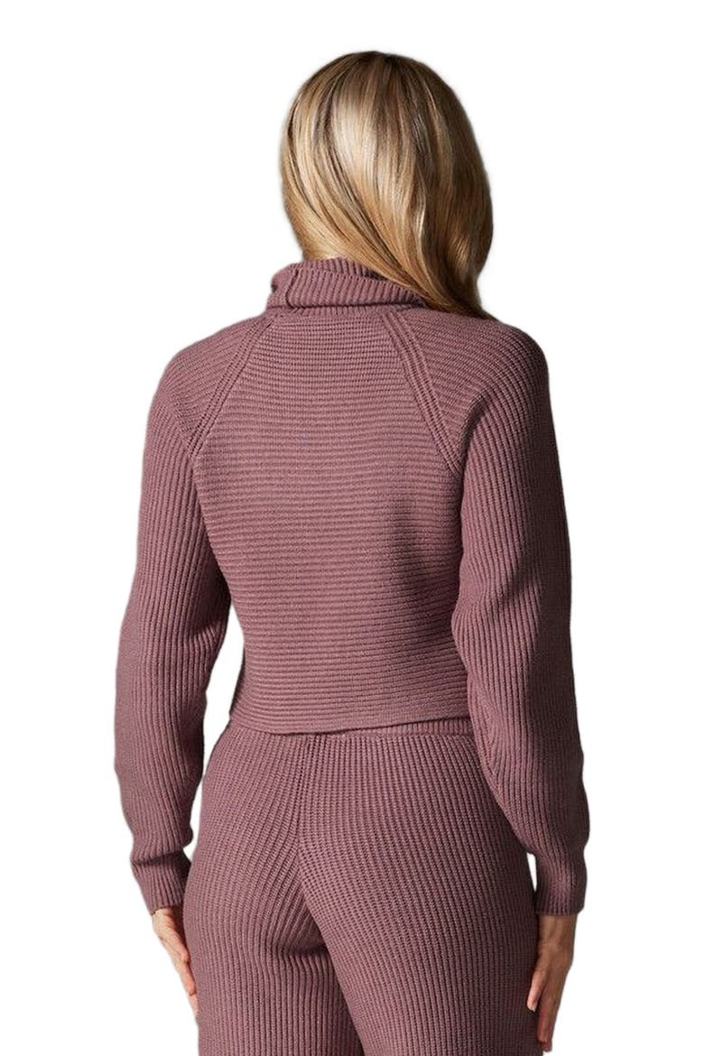 Alpine Knit Turtle Neck, Alternate, color, ROSE