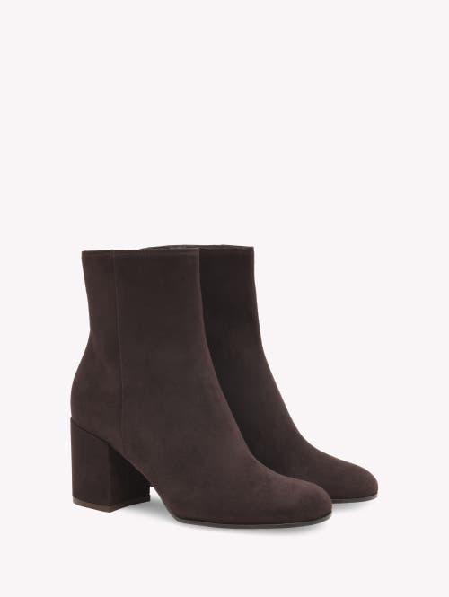 Gianvito Rossi Zippered Short Boots In Brown