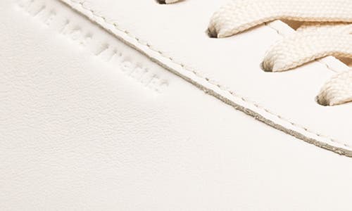 Clae Monroe Vp Low Top Sneaker In Fog Cashmere Light Gum