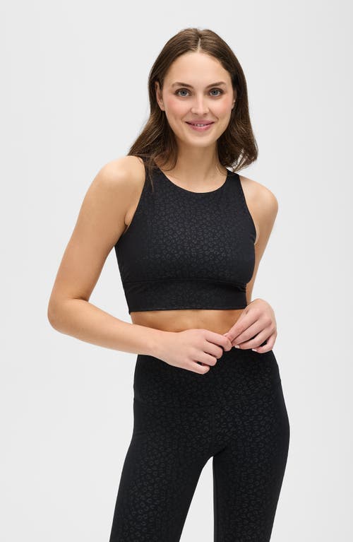 Elastique Athletics The Fierce Bra In Black