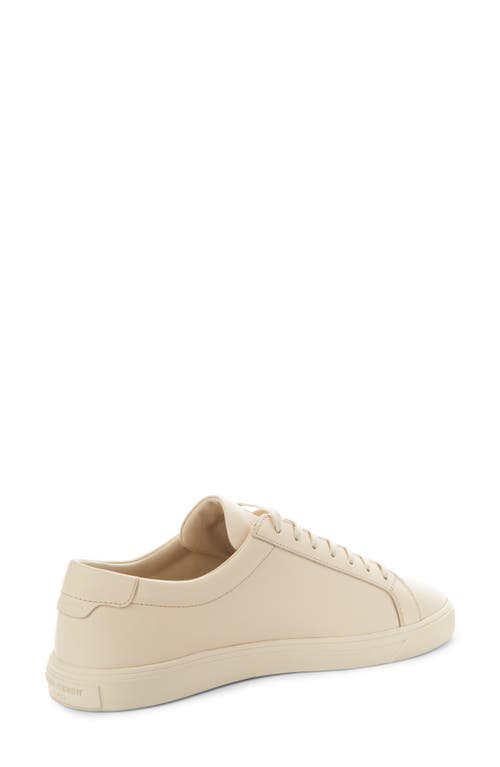Saint Laurent Andy Low Top Sneaker In Neutral