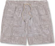 Fair Harbor The Bayberry Swim Trunks