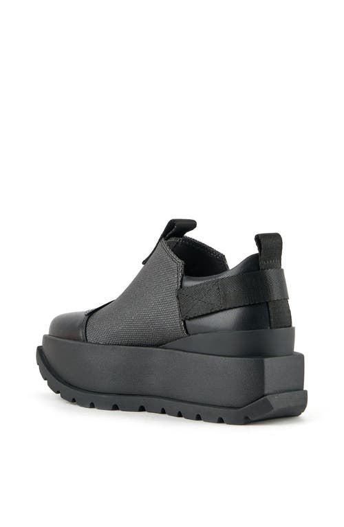 United Nude Roko Zar Sneaker In Black