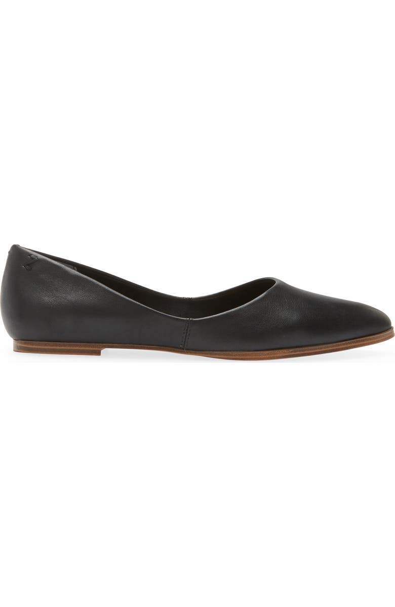 Zodiac Hill Pointy Toe Flat, Alternate, color,