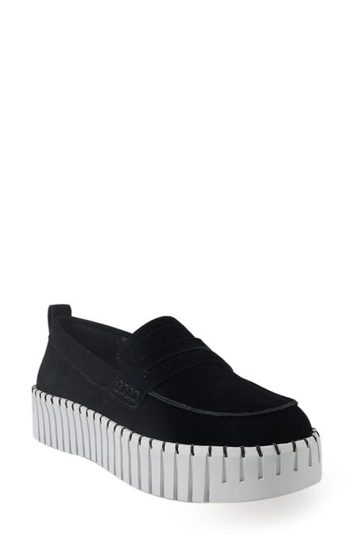 National Comfort Makota Suede Loafer In Black Suede