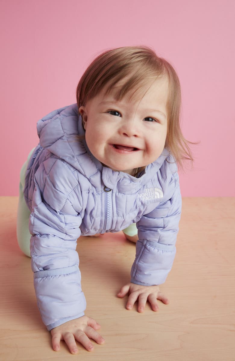 The North Face ThermoBall<sup>™</sup> Eco Hooded Jacket, Alternate, color, 