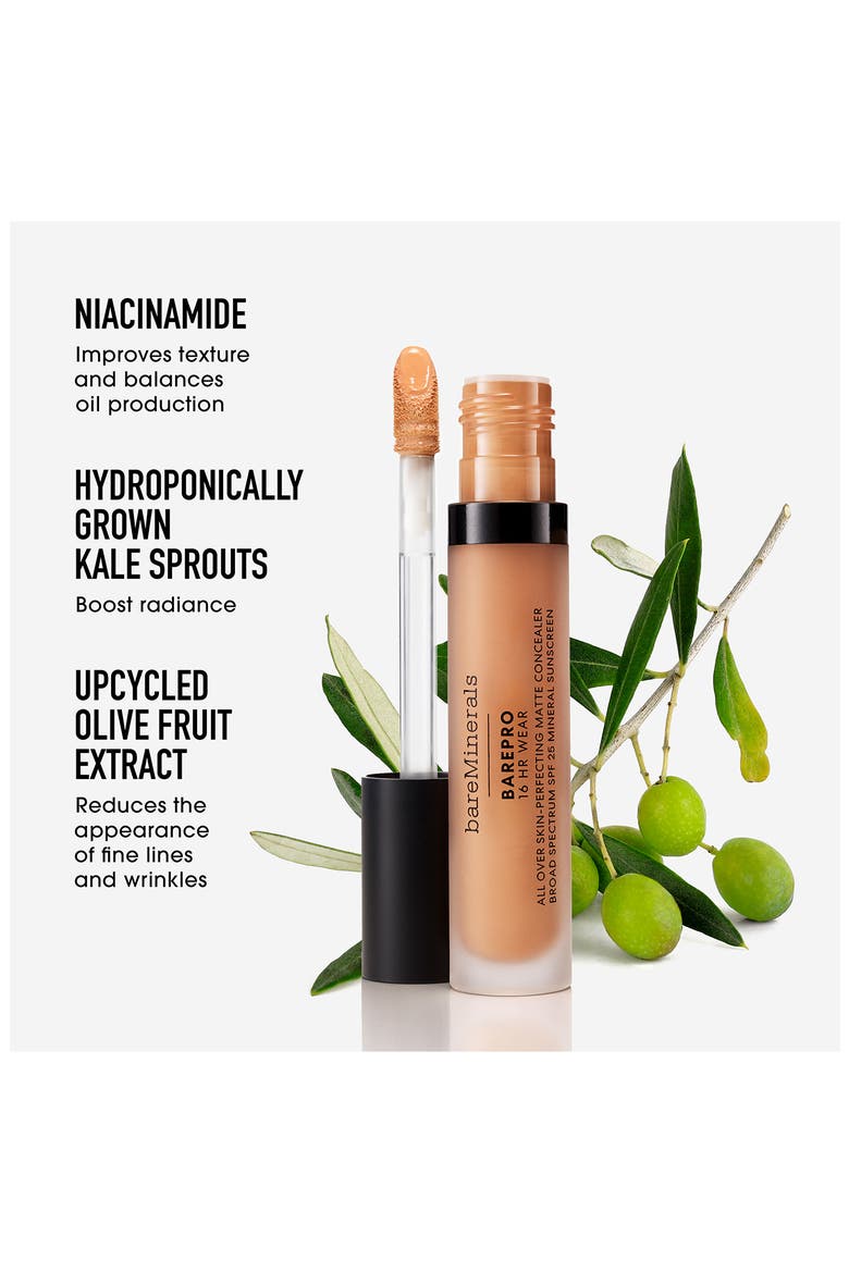 BAREPRO 16HR All Over Skin-Perfecting Matte Concealer Mineral SPF 25, Alternate, color, MEDIUM DEEP 450N