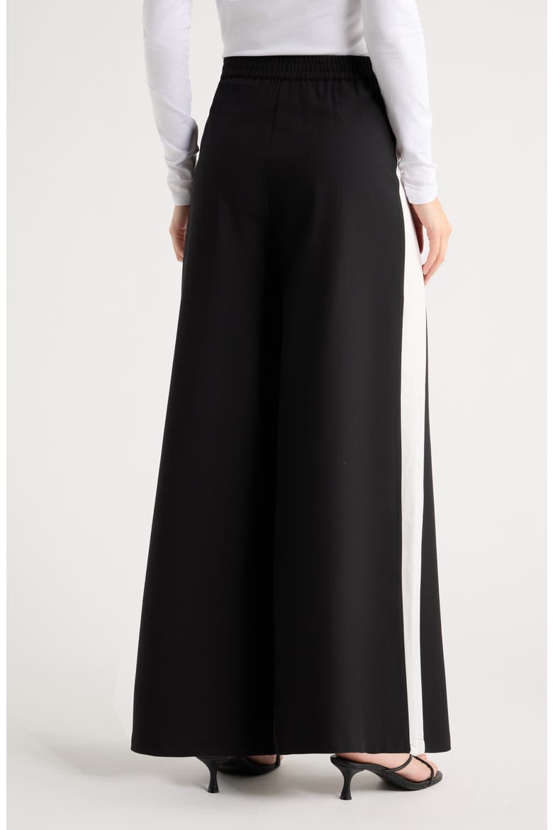Pleated Wide Leg Pants, Alternate, color, BLACK / ARCADIAN IVORY