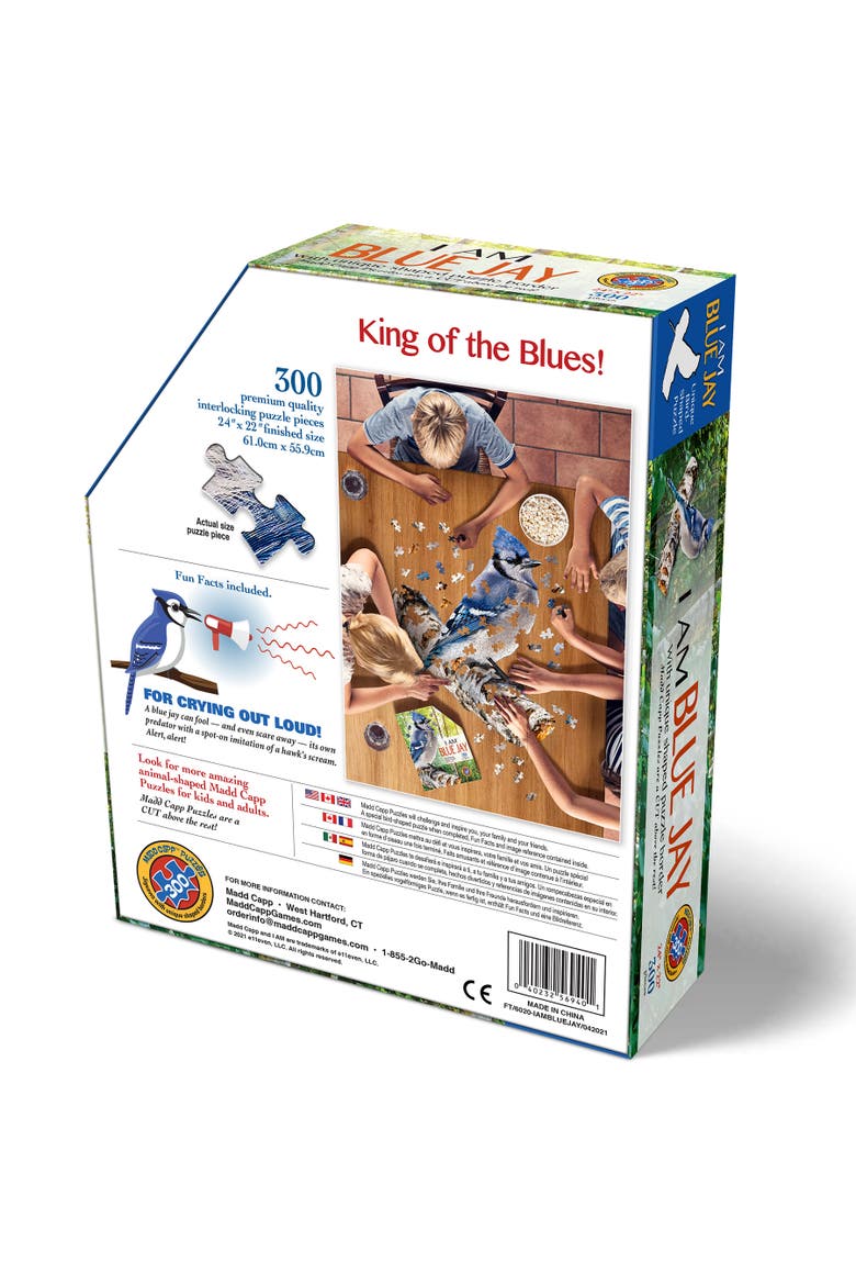 BLUE JAY 300 Piece Jigsaw Puzzle, Alternate, color, Multicolored