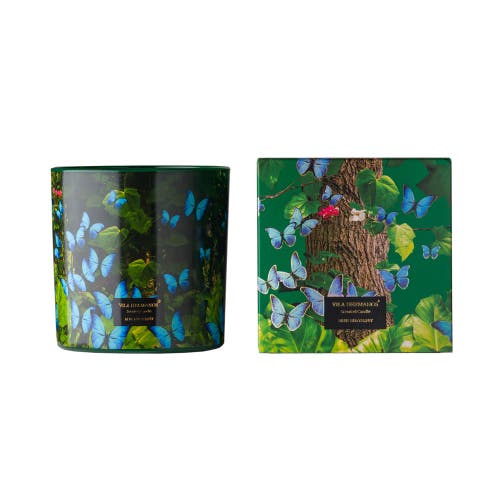 Vila Hermanos Vila Jungletropia Candle In A Jar In Green