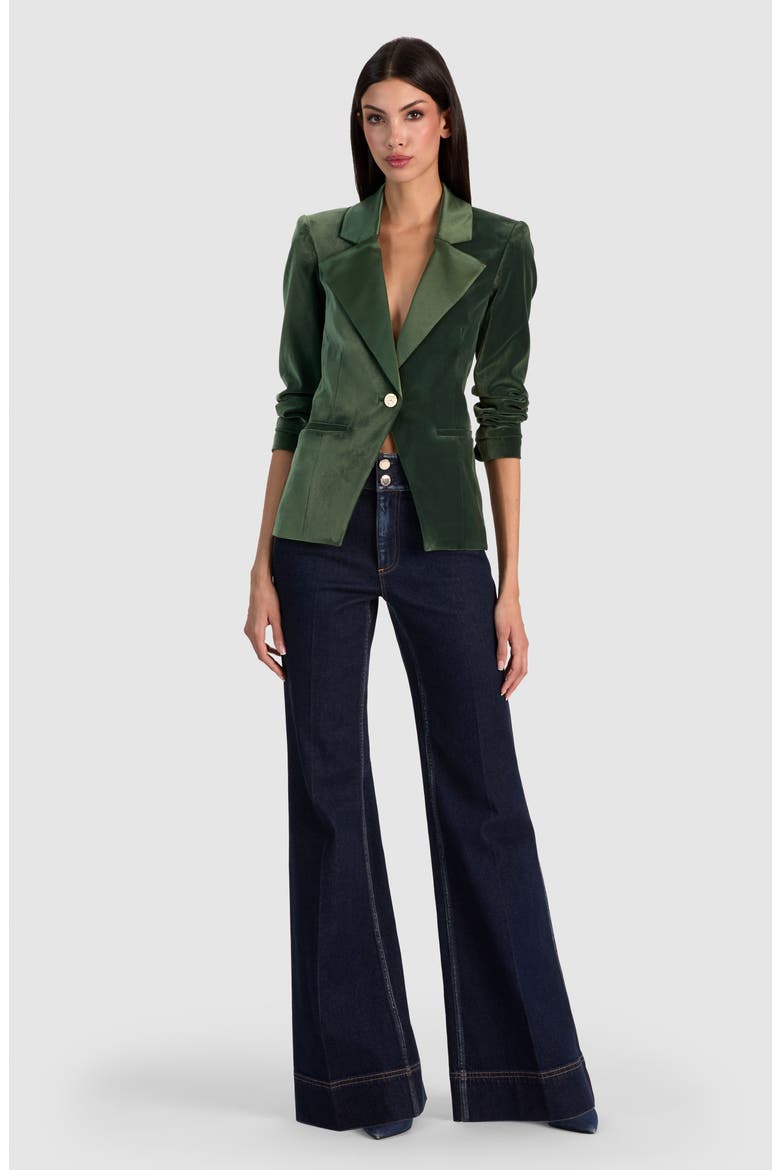 Sable Fitted Velvet Blazer, Alternate, color, DARK FERN