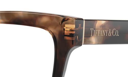 Tiffany & Co . 53mm Cat Eye Optical Glasses In Brown Havana