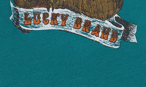 Lucky Brand Kids' Go Fish Bear Graphic T-shirt In Green