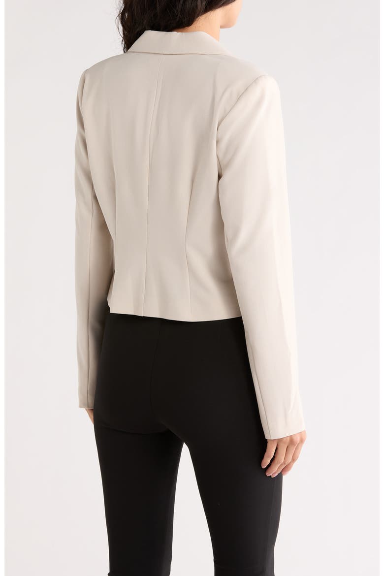 Brooklyn Blazer, Alternate, color, BEIGE PUMICE