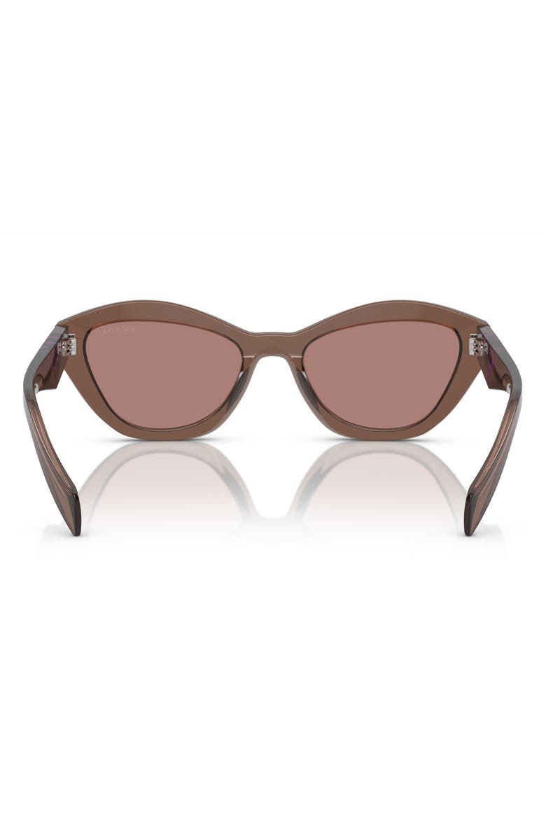 Prada 52mm Butterfly Sunglasses, Alternate, color, Light Brown