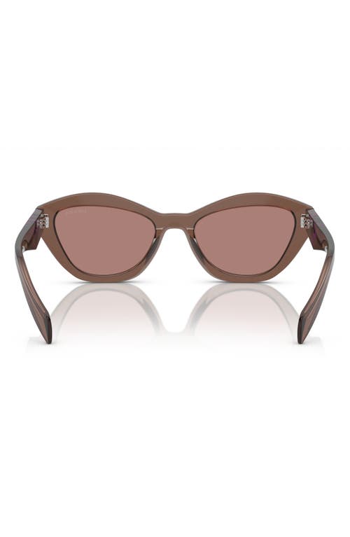 Prada 52mm Butterfly Sunglasses In Light Brown