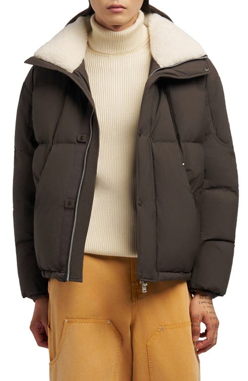 Moose Knuckles Everest Fleece Collar Down Puffer Jacket in Espresso 