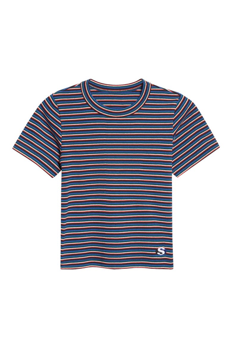 Stripe Rib Cotton T-Shirt, Alternate, color, BLUE