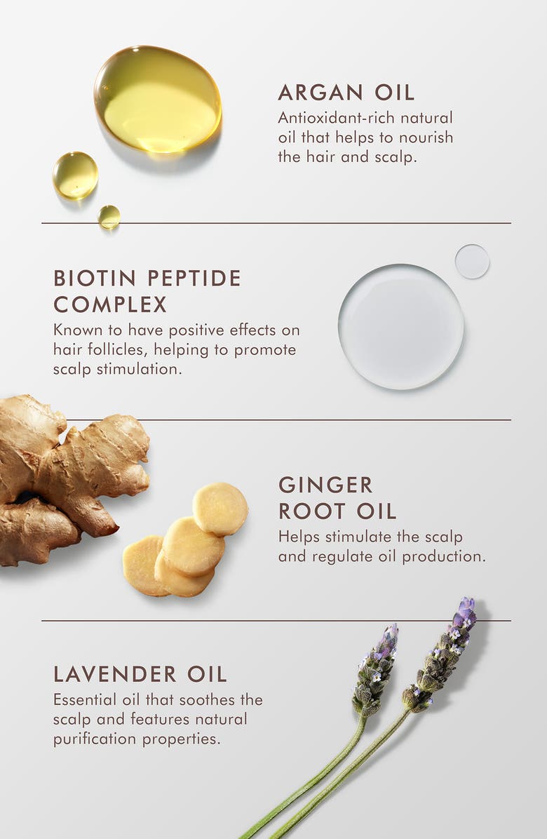 MOROCCANOIL<sup>®</sup> Oily Scalp Treatment, Alternate, color,