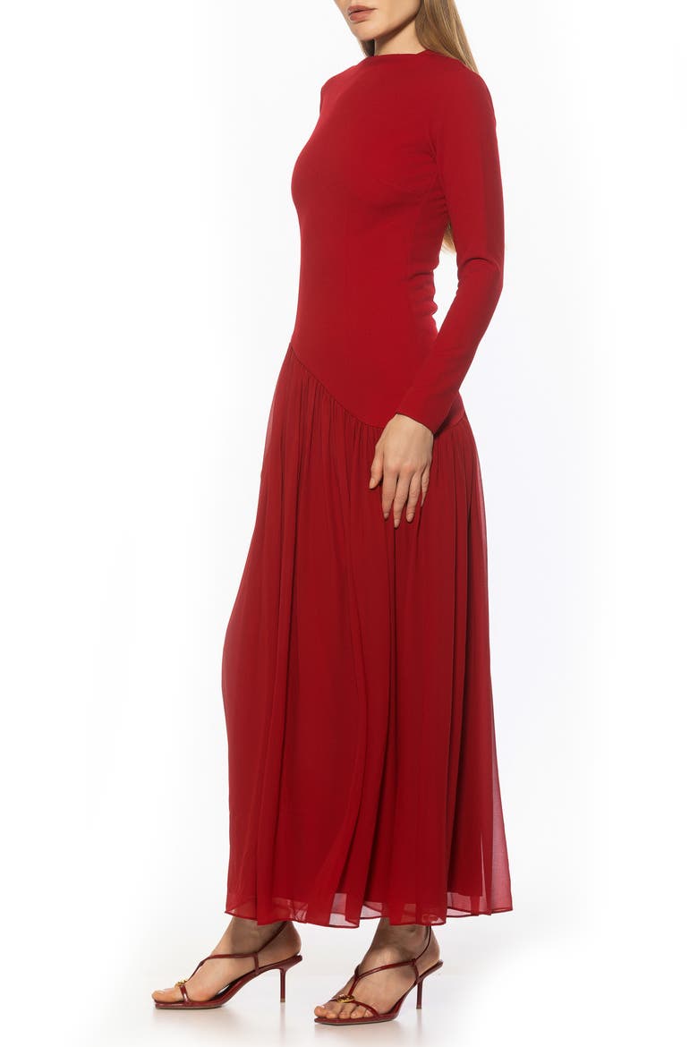 Dakota Long Sleeve Gown, Alternate, color, BURGUNDY