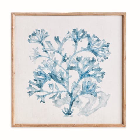 Translucent Coral Print - Blue Framed Art - Coastal Decor