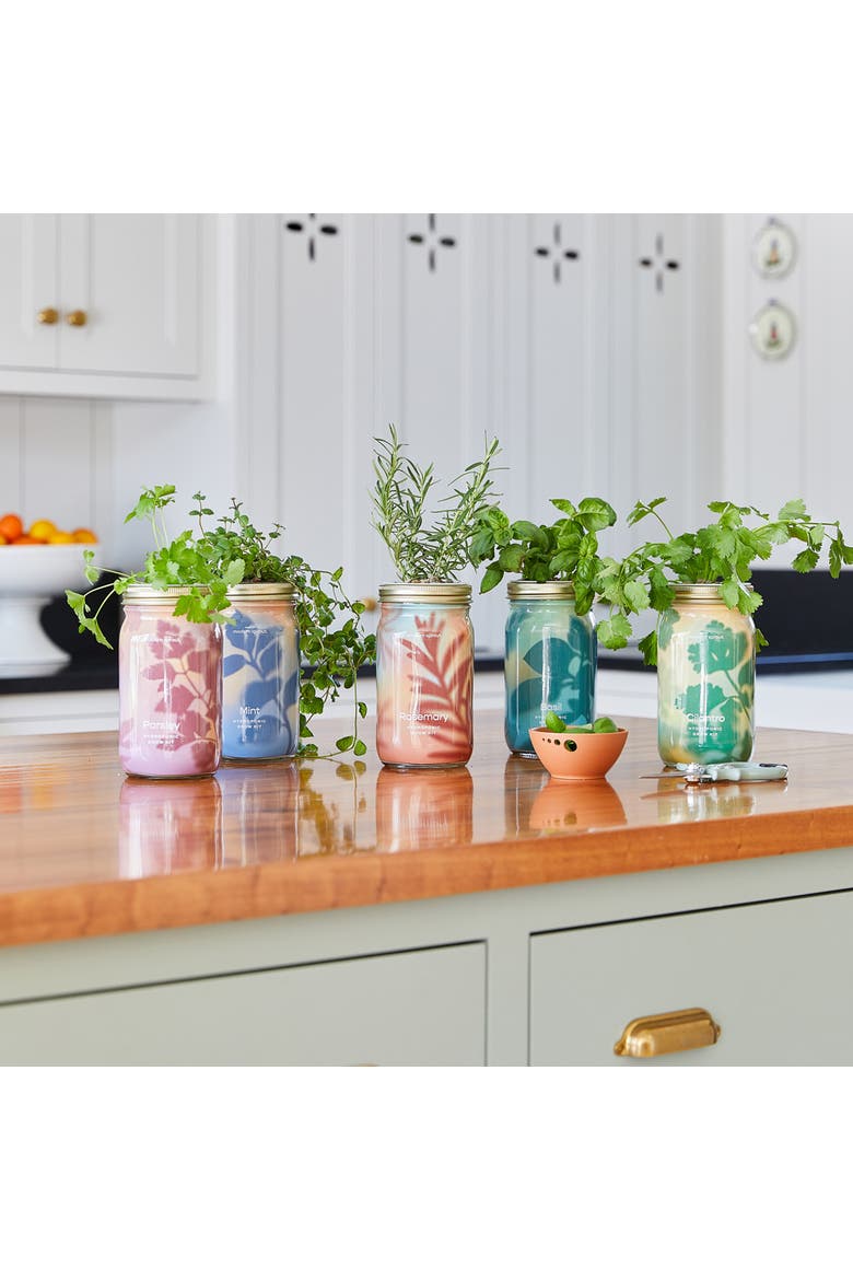 Garden Jar 5pk, Alternate, color, Assorted