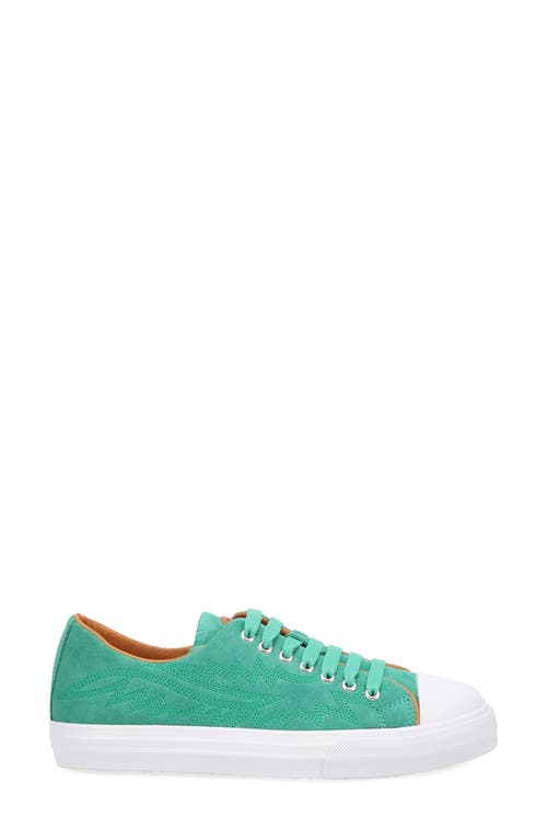Dingo Campus Sneaker